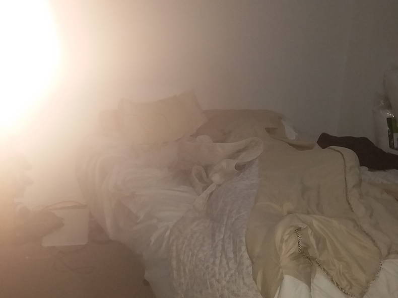 Chambre Chez L'habitant Rozelle 228040-2