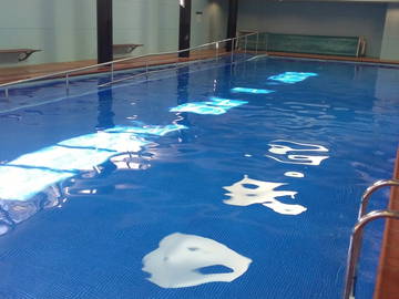 Chambre Chez L'habitant Rozelle 228040-11