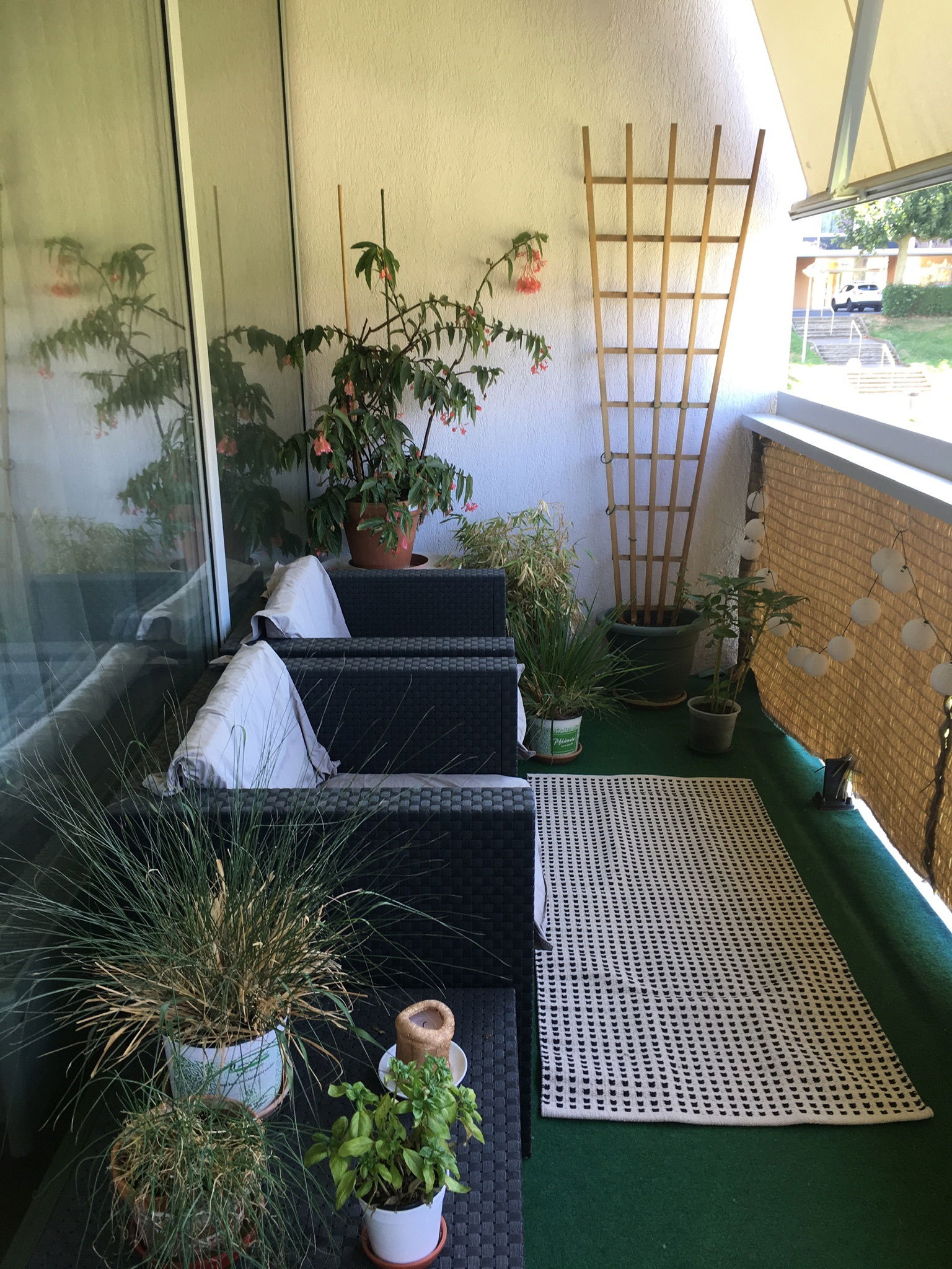 Homestay Meyrin 234101