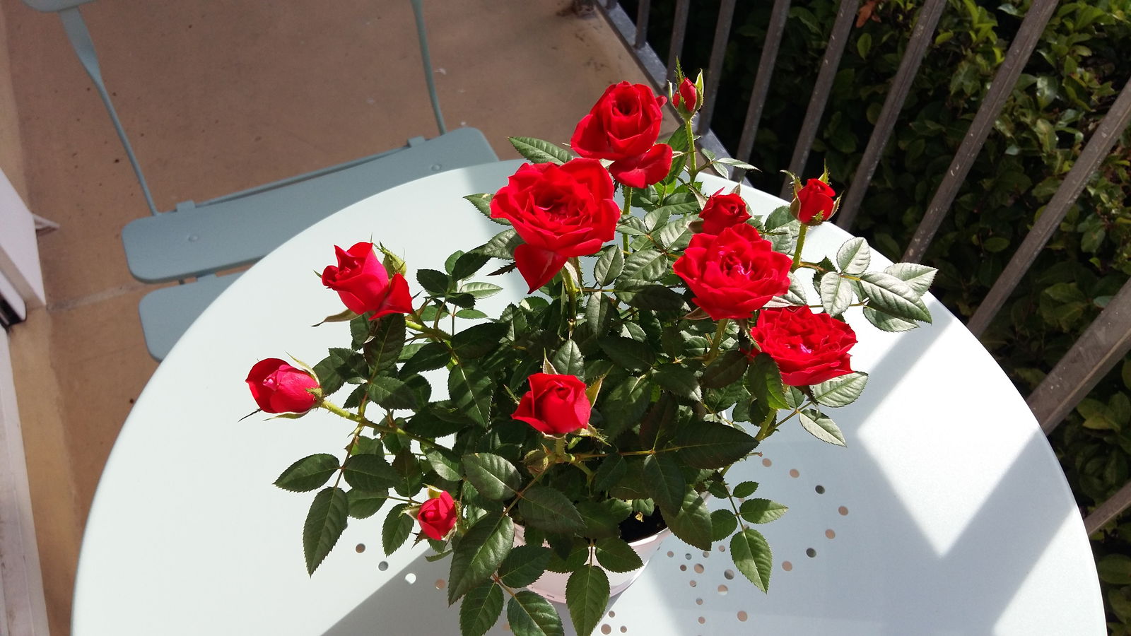Homestay Bougival 251508