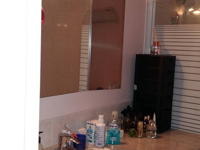 Gastfamilie Bougival 251508-3