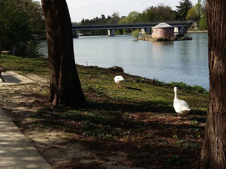 Gastfamilie Bougival 251508-5