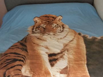 Homestay Bougival 251508-6