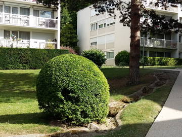 Homestay Bougival 251508-7