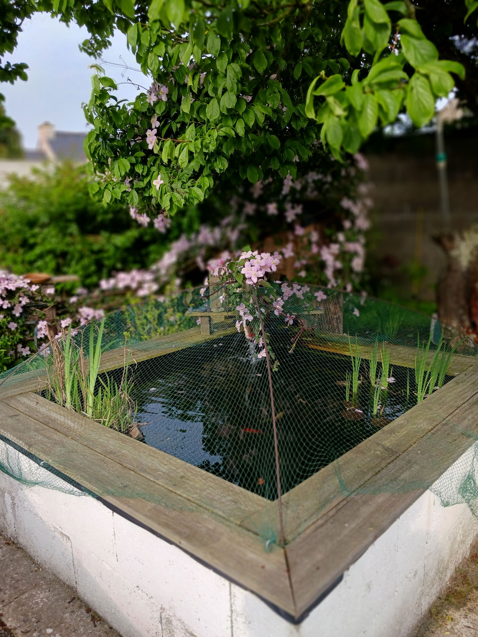 Homestay Saint-Méloir-des-Ondes 256186