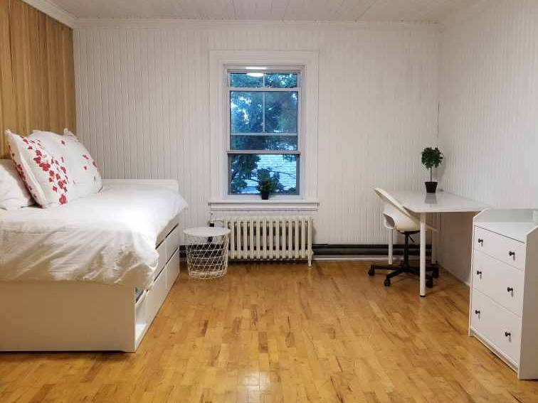 Kolokasie Saint-Hyacinthe 260851-1