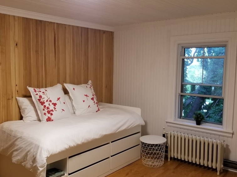 Kolokasie Saint-Hyacinthe 260851-3