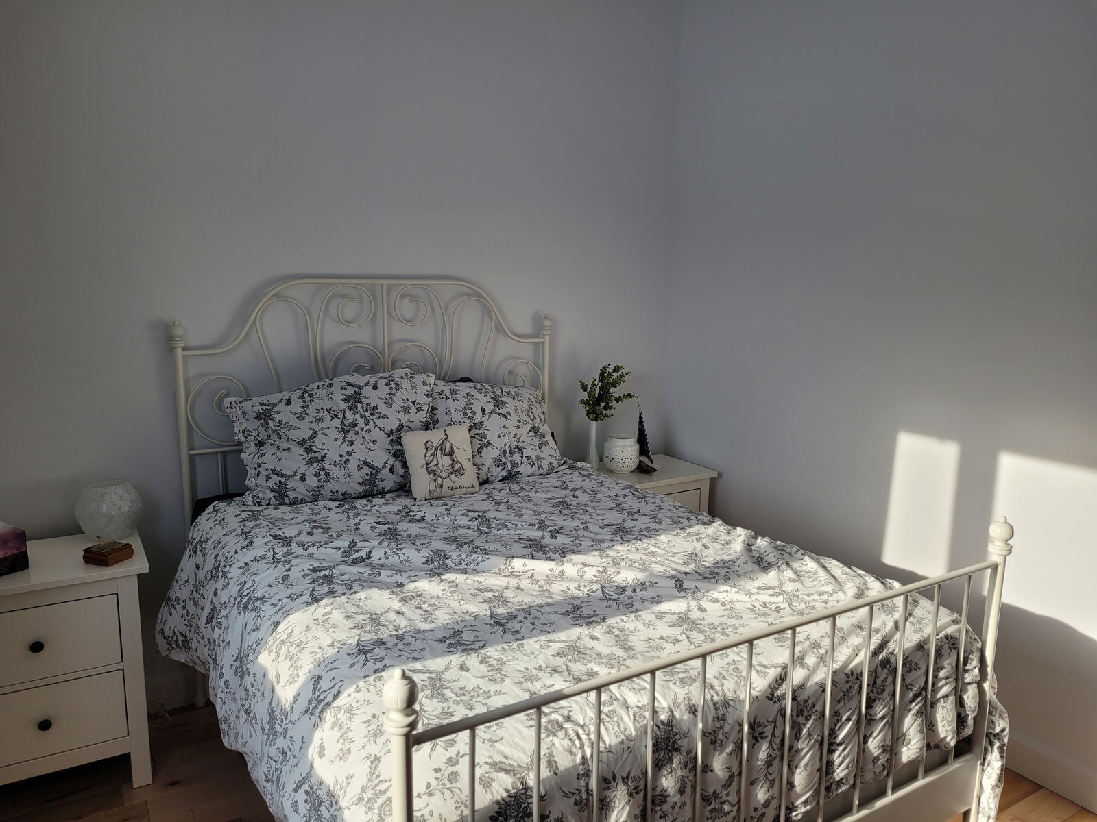 Homestay Saint-Ignace-de-Loyola 264084