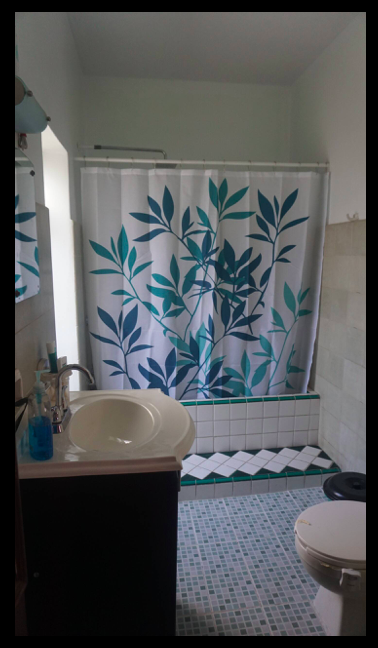 Homestay Guadalajara 264151