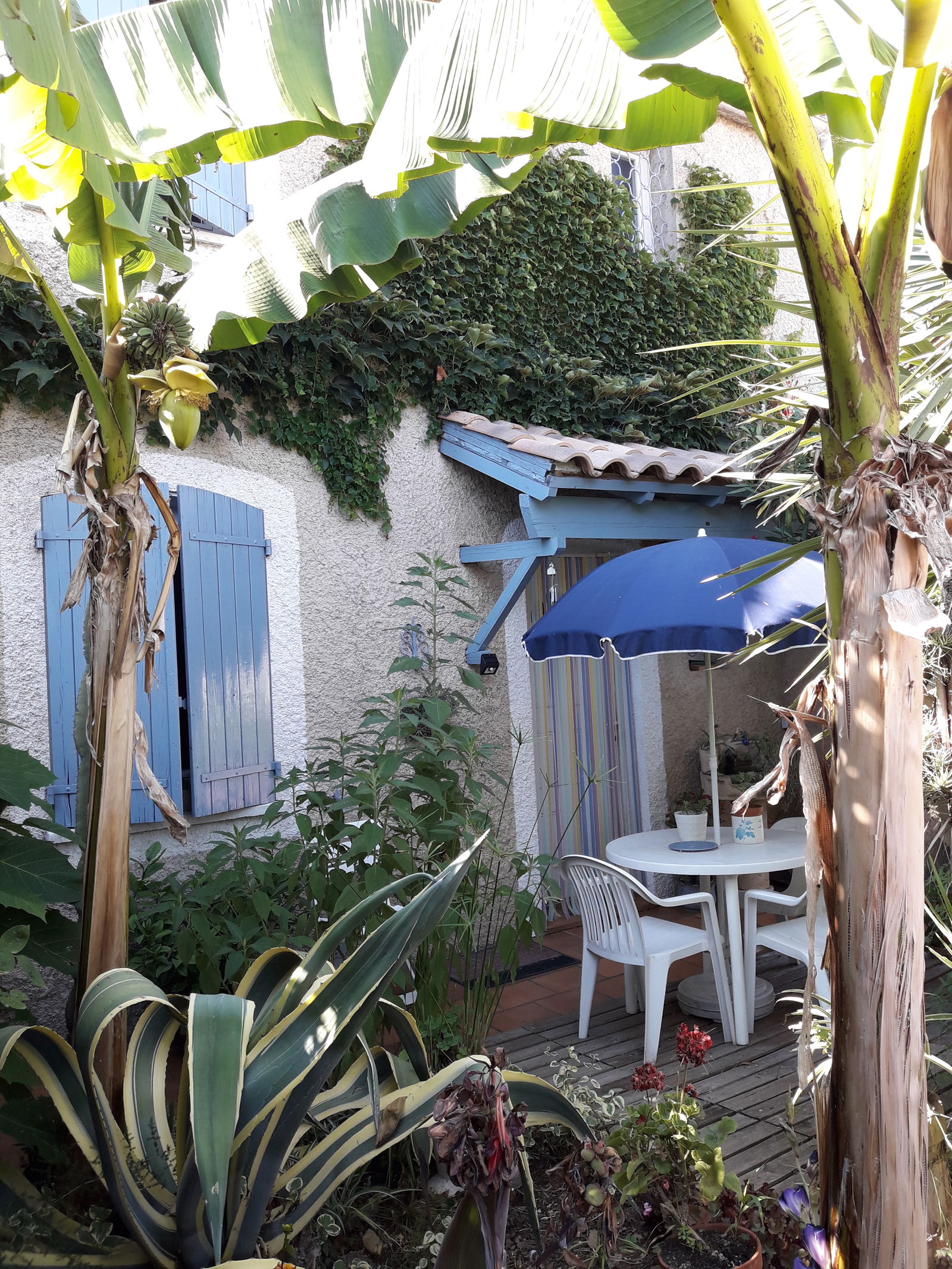 Homestay Mireval 265292