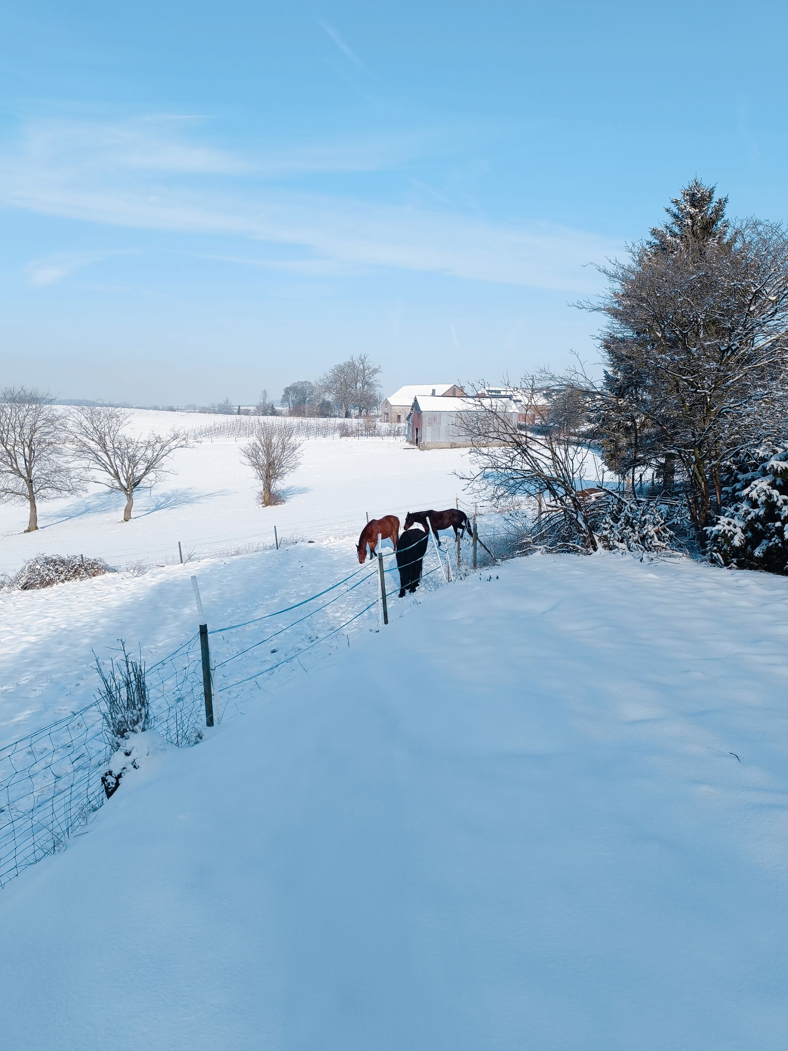 Colocation Beaumont 265444