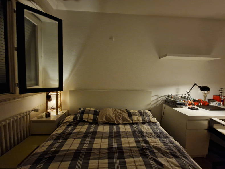 Homestay Petit-Lancy 265909-3