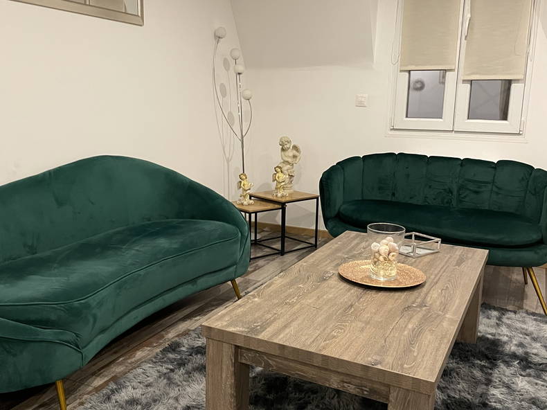 Colocation Le Blanc-Mesnil 267459-3