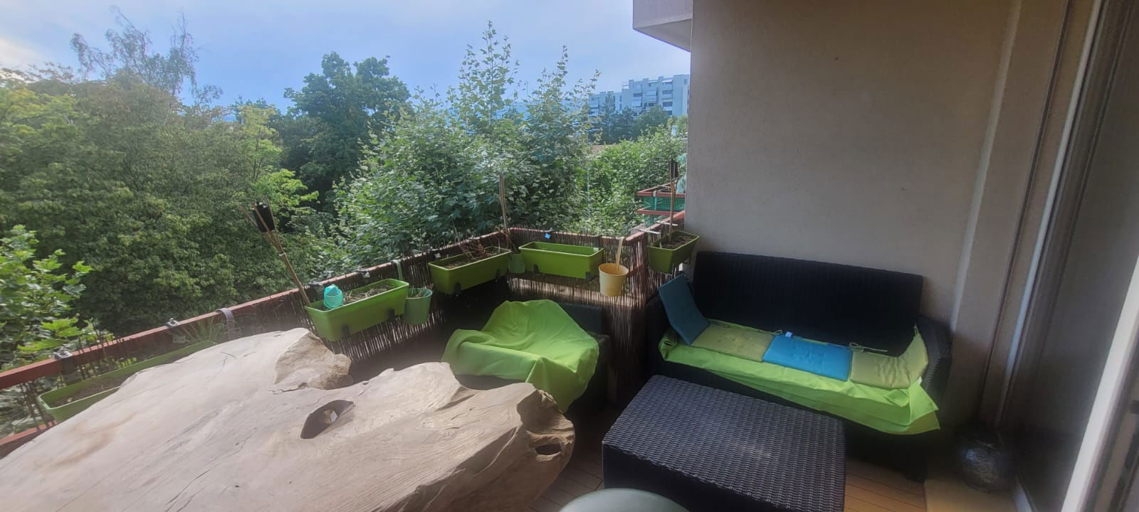 Homestay Petit-Lancy 267898