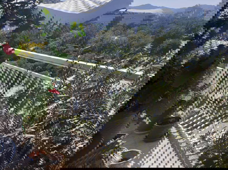 Homestay Marseille 278577-1