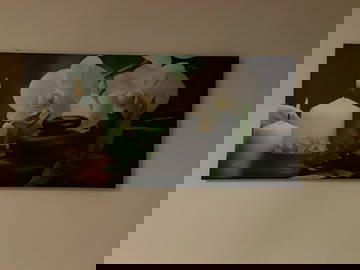 Chambre Chez L'habitant Herentals 339791-4