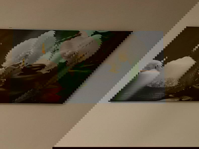 Homestay Herentals 339791-4