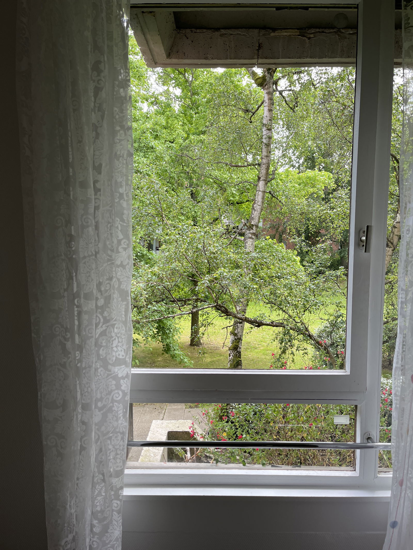 Homestay Châtenay-Malabry 391456