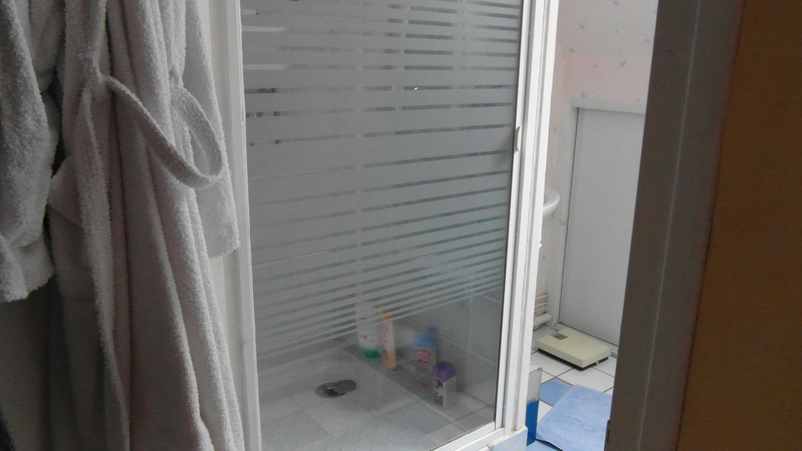 Homestay Angers 393239