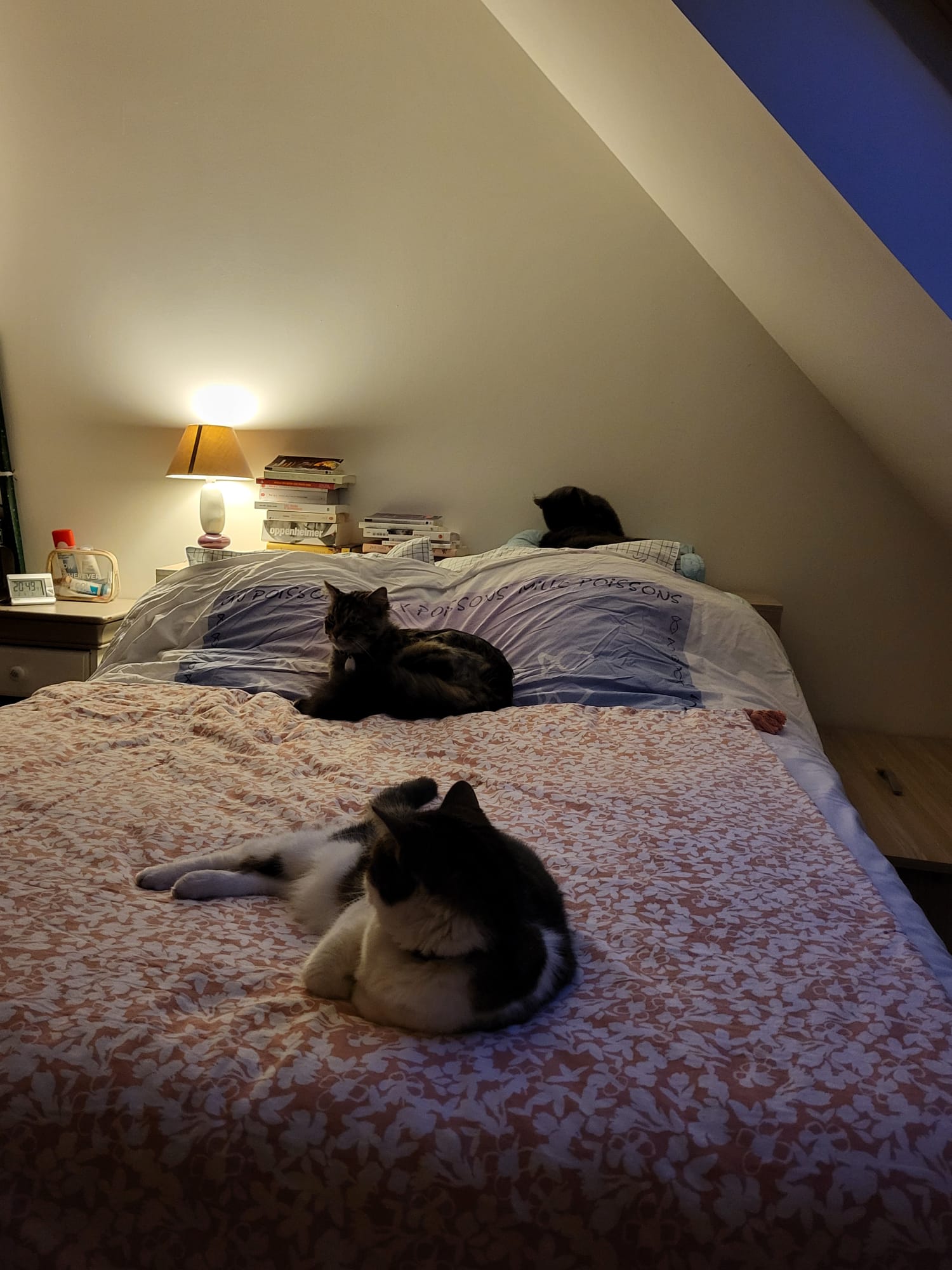 Homestay Le Coudray 408443