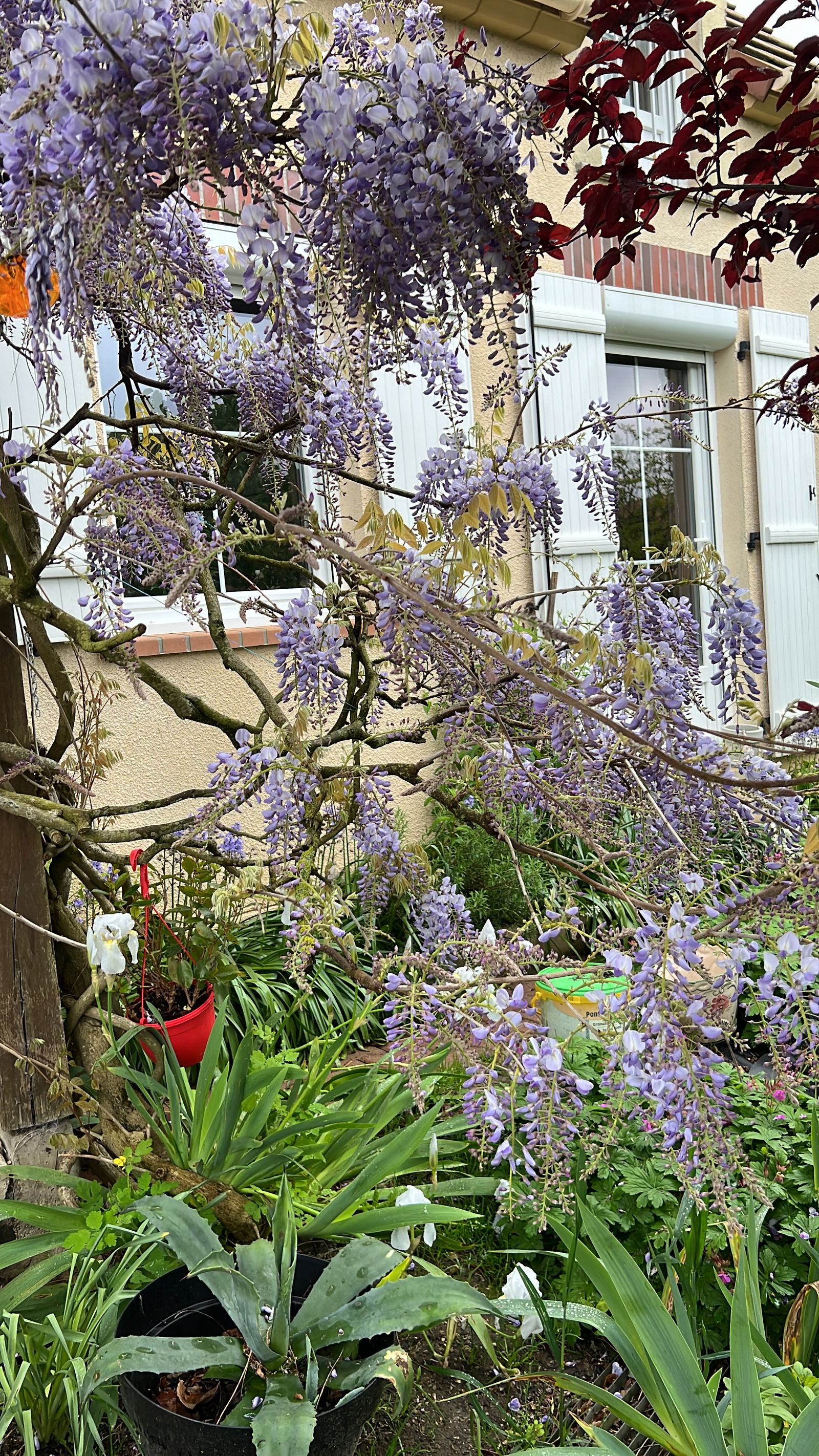 Homestay Le Coudray 408443