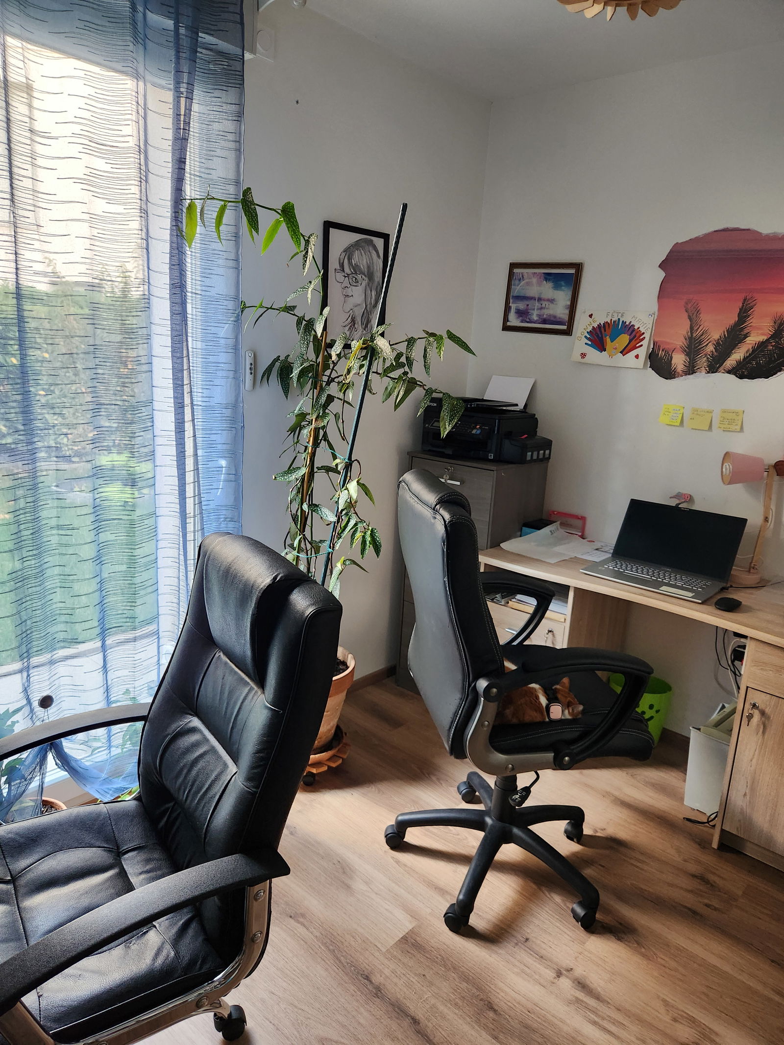 Homestay Longvic 442764