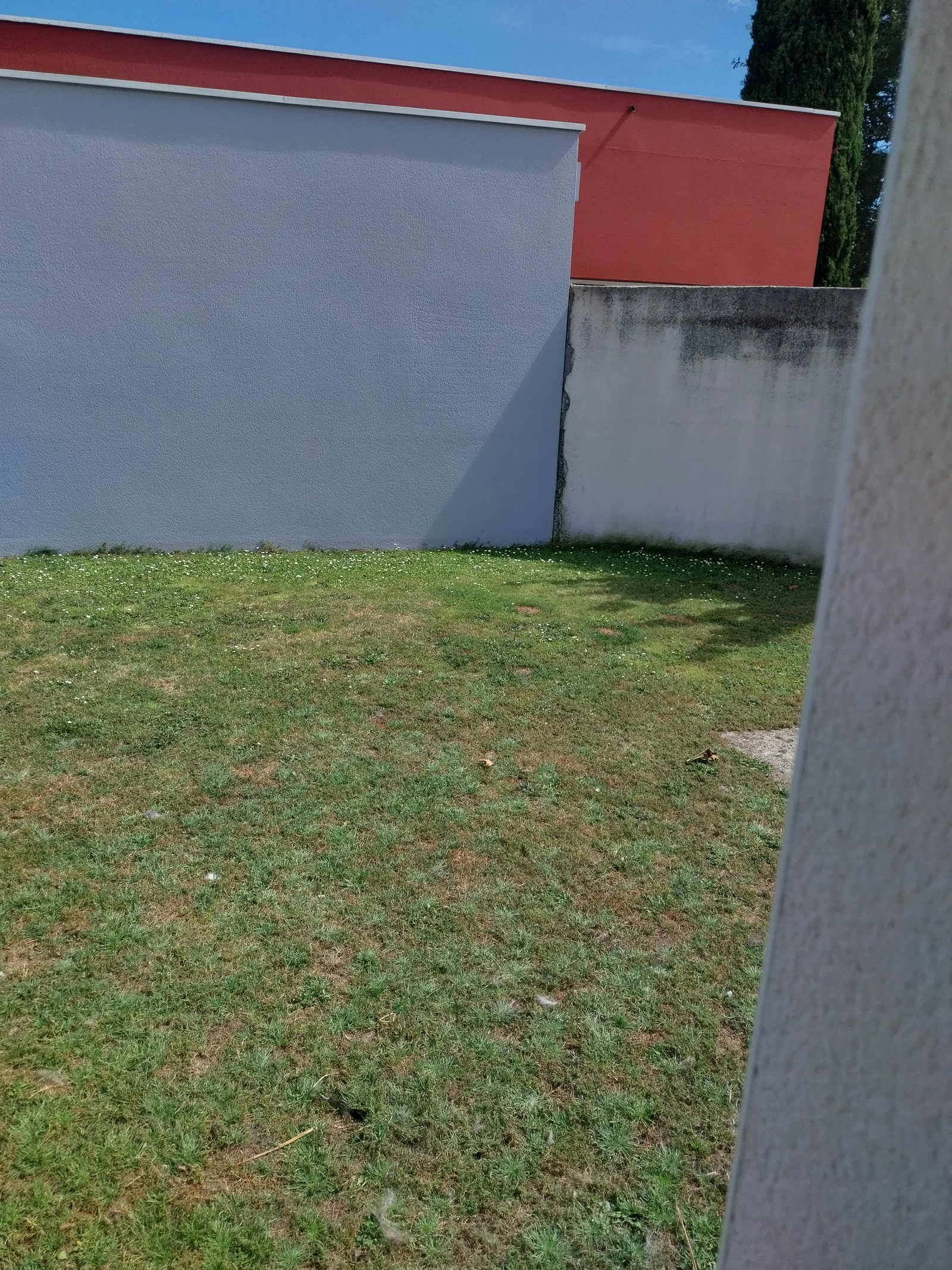 Homestay Legé 463931