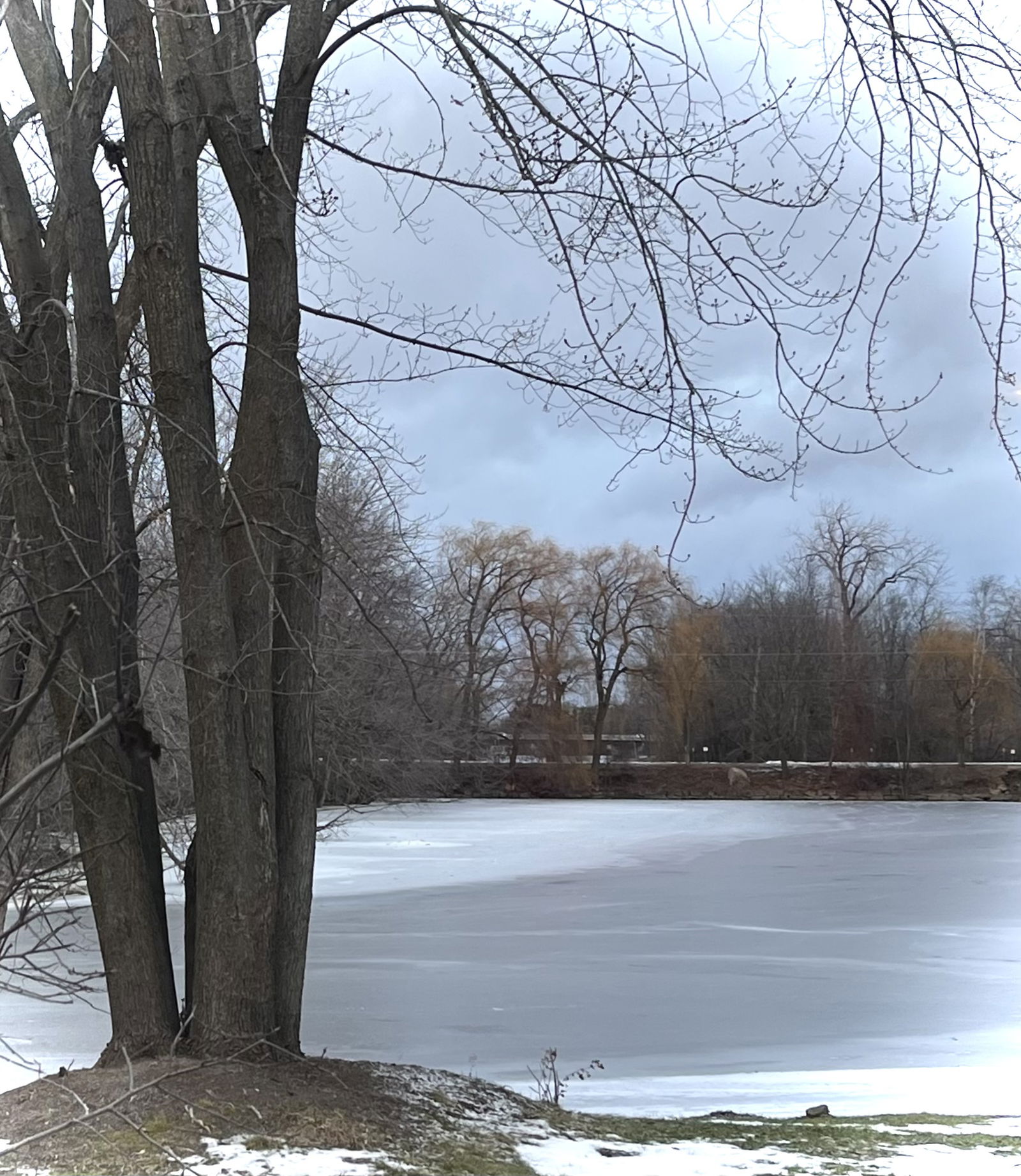 Homestay Laval 469572