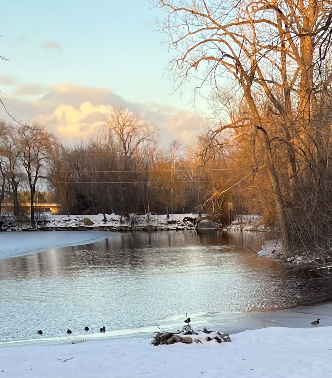 Homestay Laval 469572