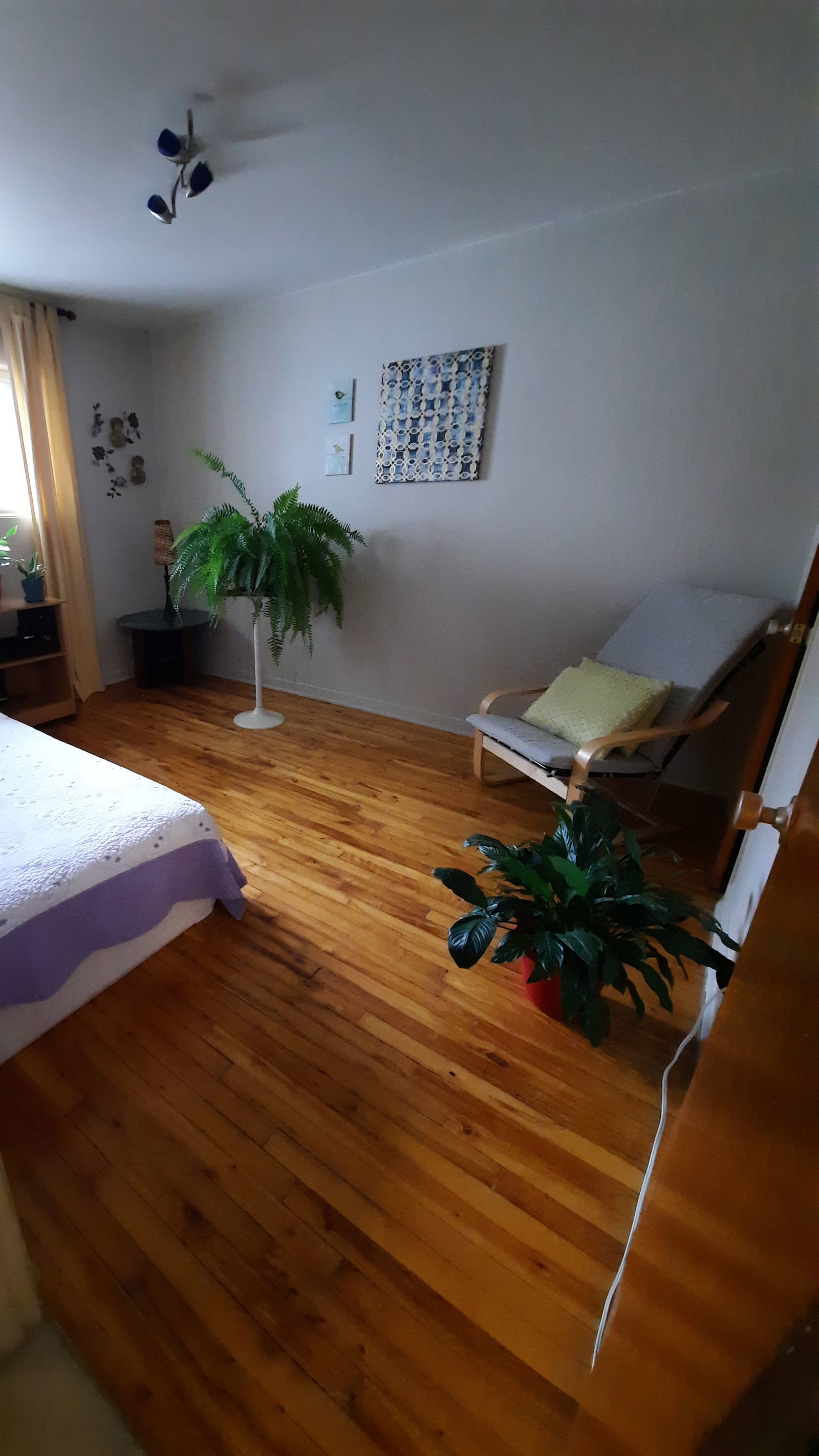 Homestay Montréal 501157