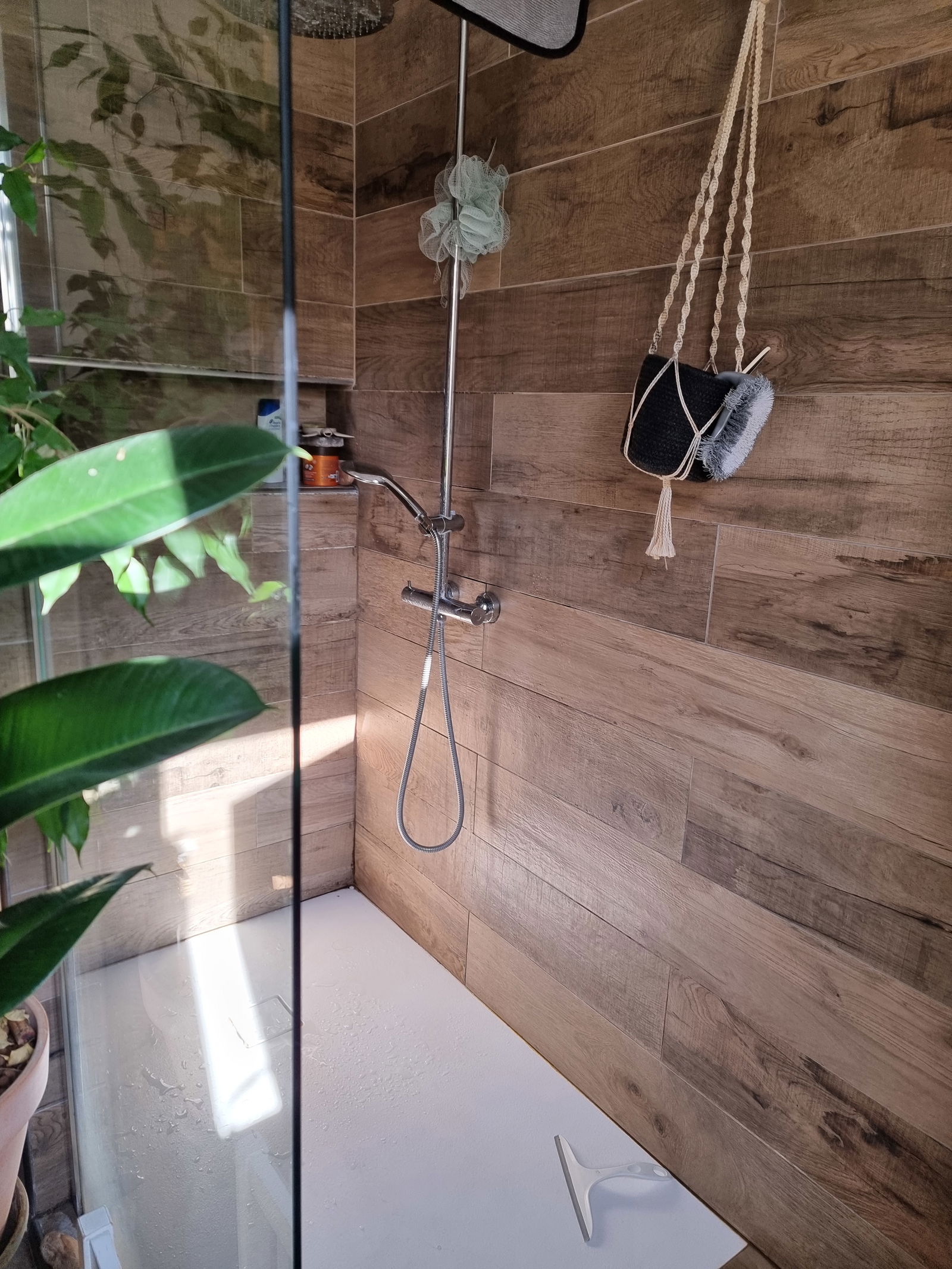Homestay Fréjus 550986