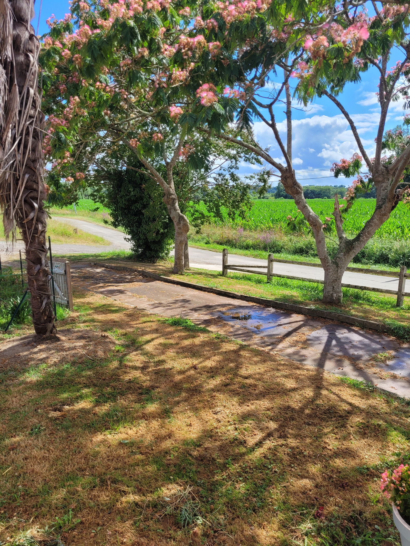 Homestay Clermont 561313