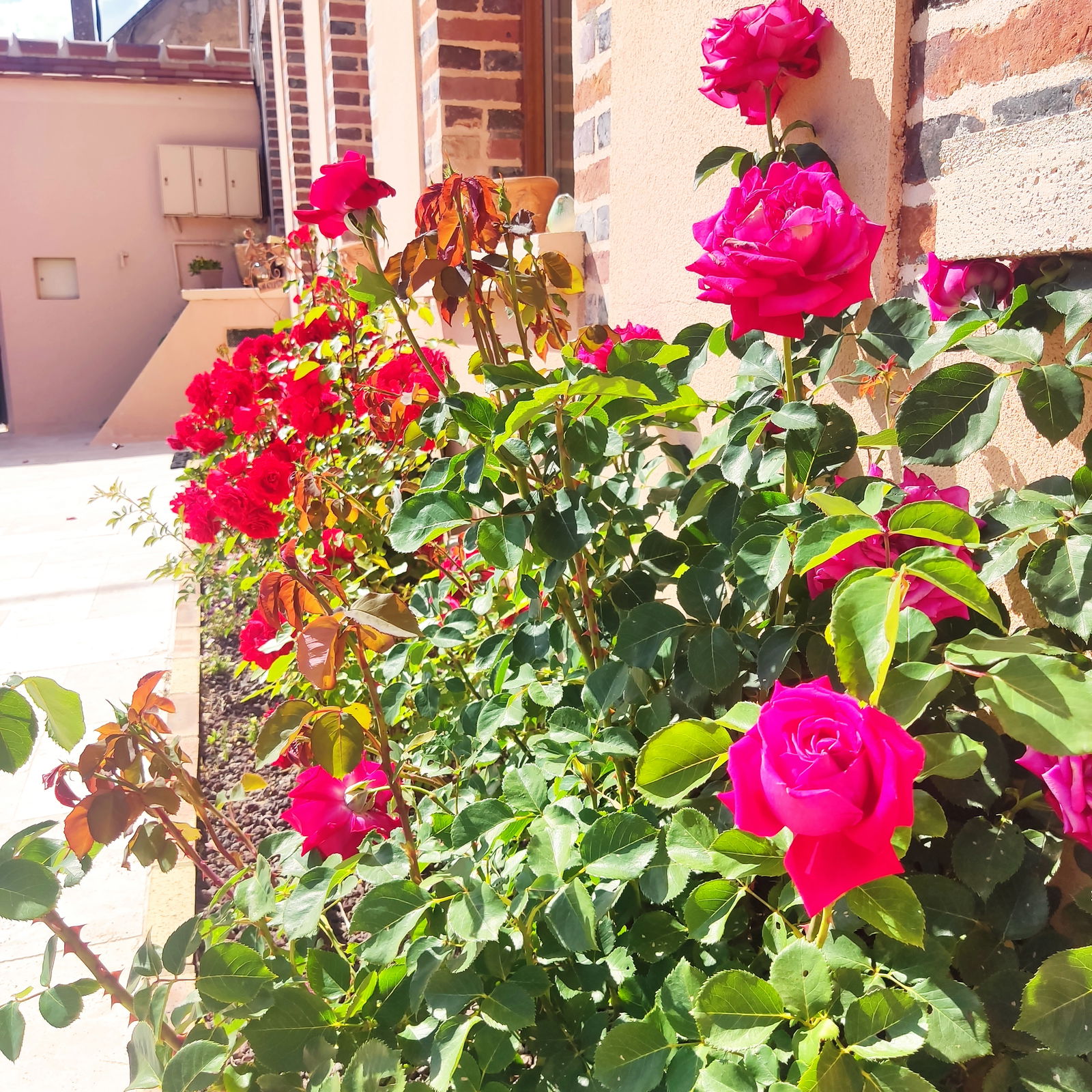 Bed And Breakfast Villeblevin 565606