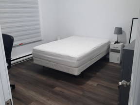 Room for rent