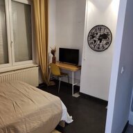 Colocation Faches-Thumesnil 641830