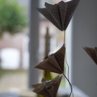 Homestay Beauvais 653783