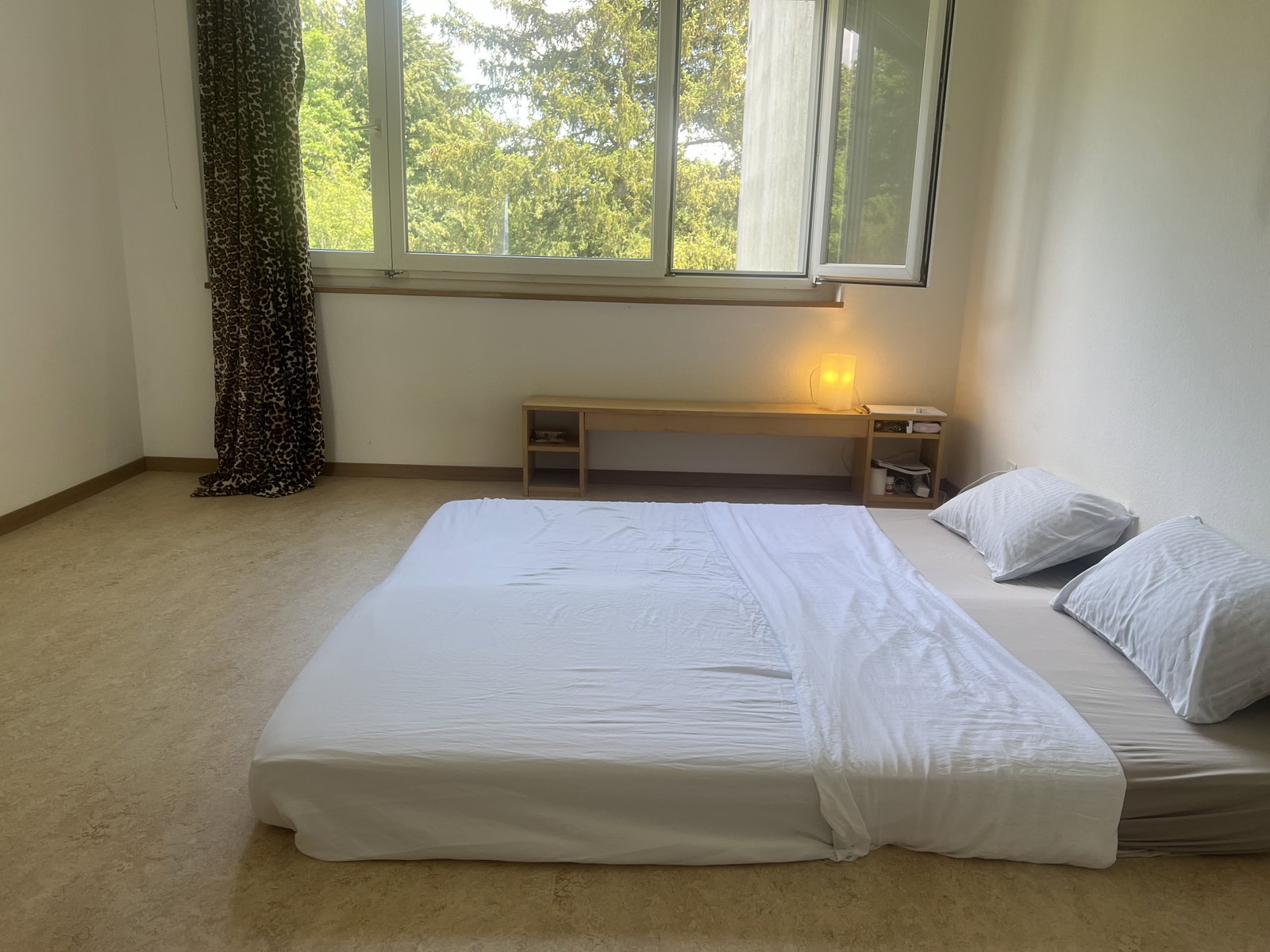 Homestay Zürich 667382