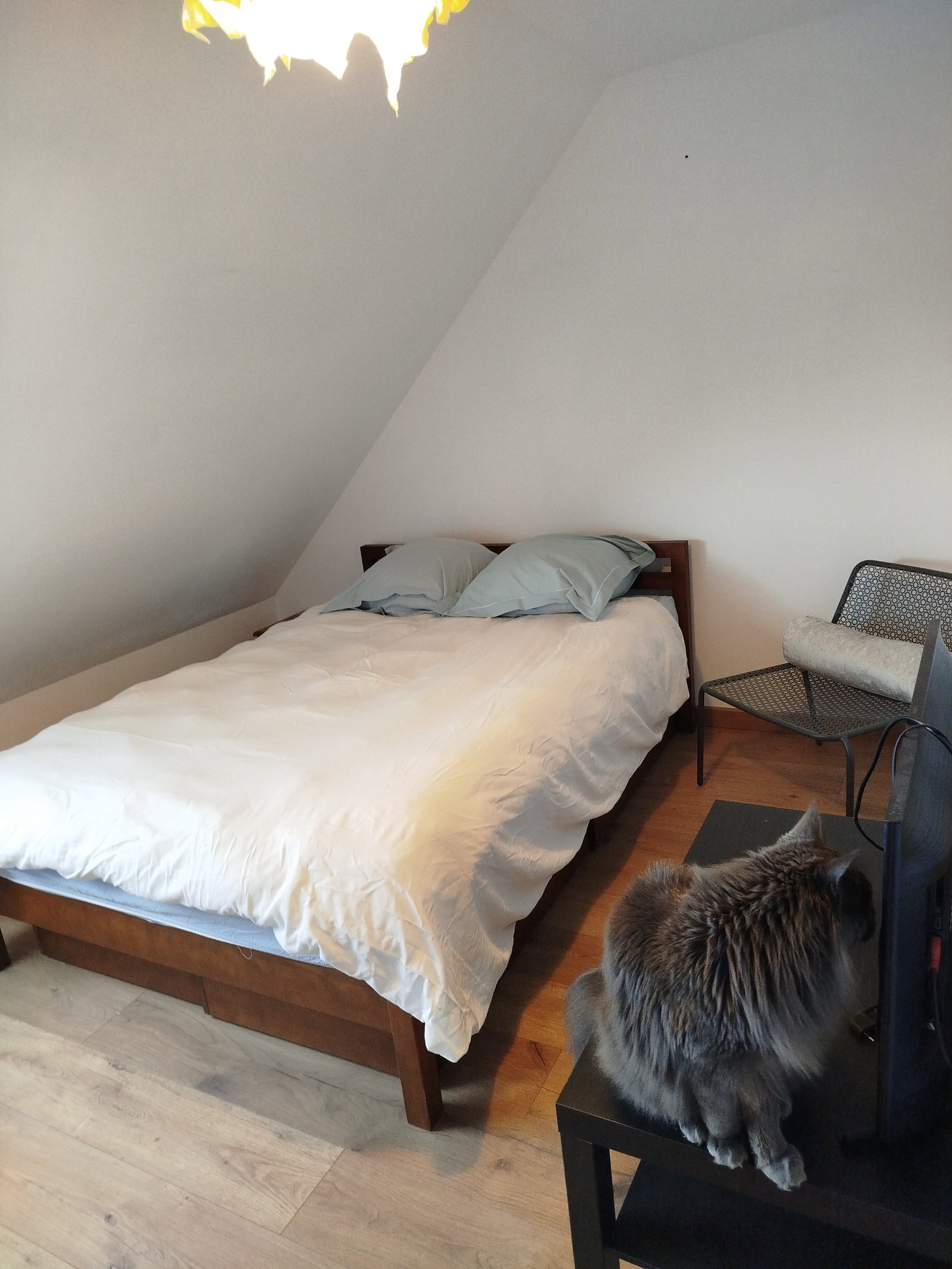 Homestay Plougastel-Daoulas 672737