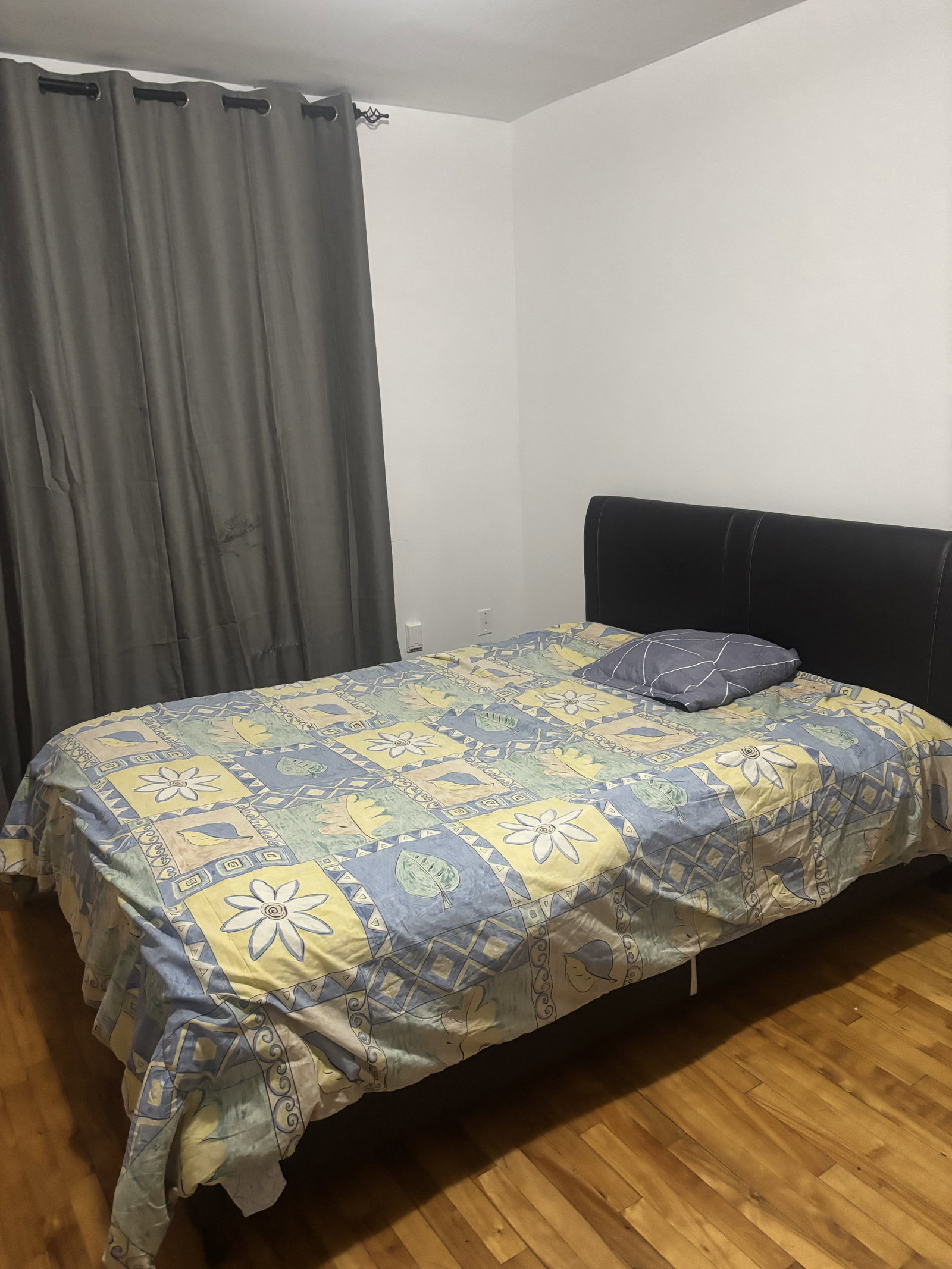 Coliving Montréal 673440