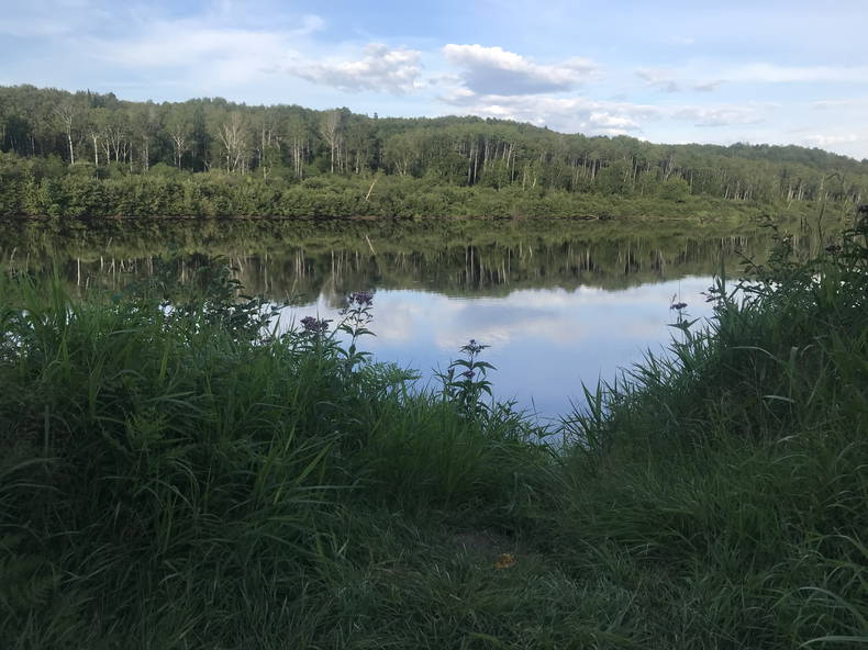 Colocation Saguenay--Lac-Saint-Jean 261800-3