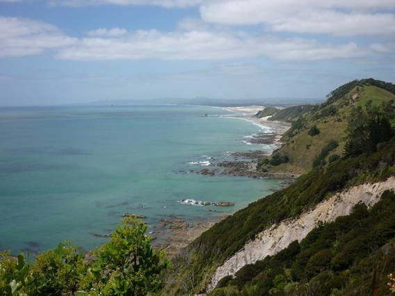 Bed And Breakfast Puhoi 60196-3