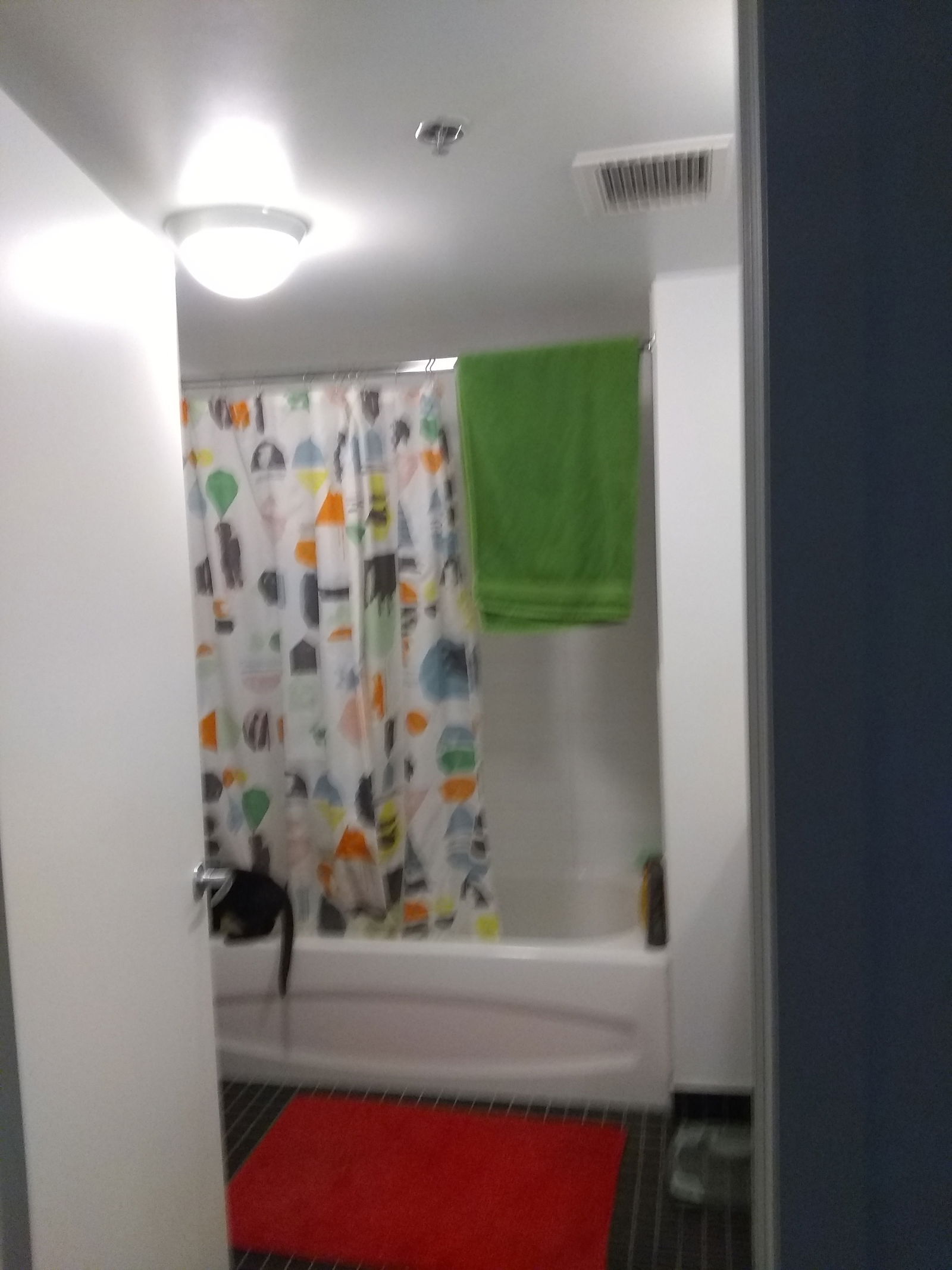 Homestay Montréal 228074