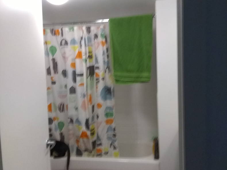 Gastfamilie Montréal 228074-3