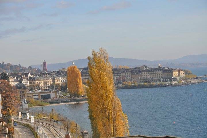 Homestay Neuchâtel 80993