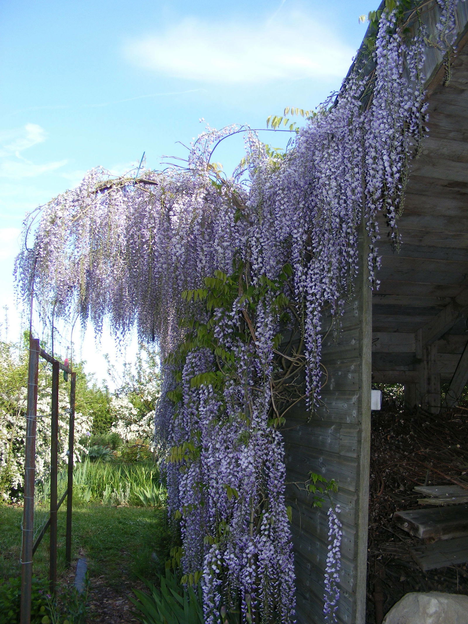 Homestay Val en Vignes 81688