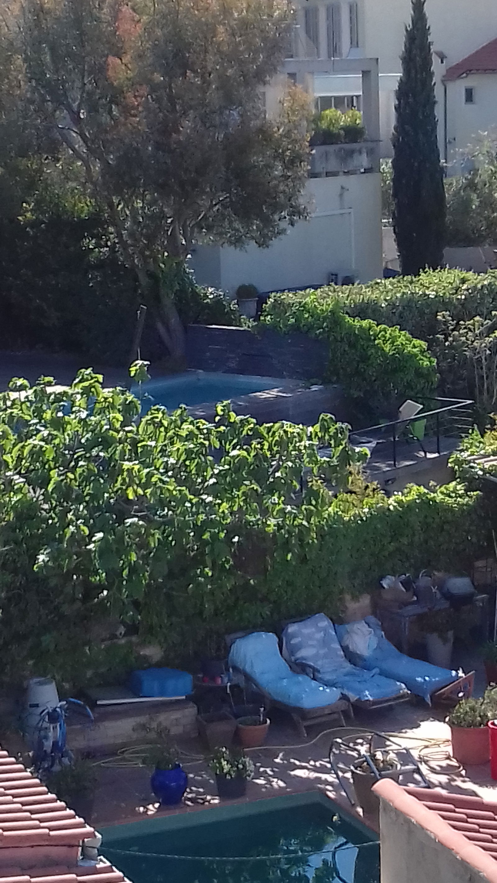 Homestay Marseille 244238