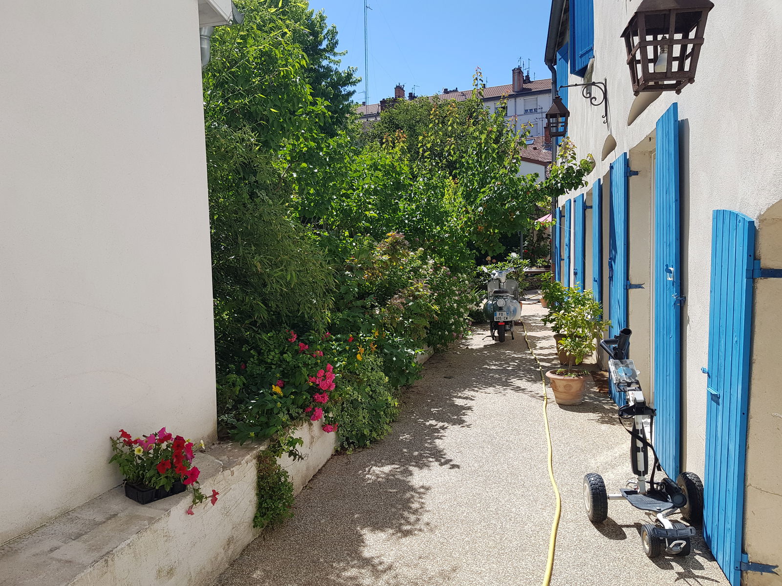 Homestay Lyon 232784