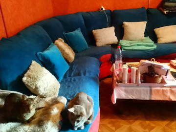 Chambre Chez L'habitant La Chapelle-Saint-Mesmin 182532-4