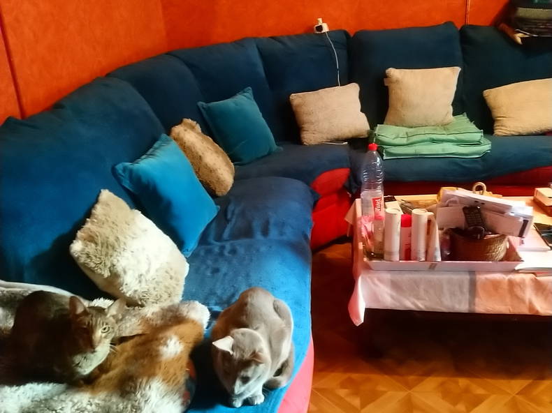 Zakwaterowanie U Rodziny La Chapelle-Saint-Mesmin 182532-4