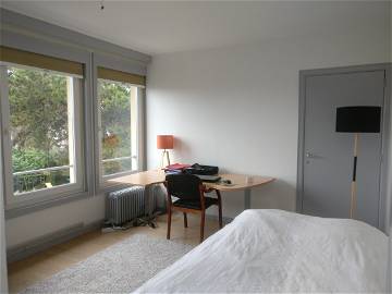 Room For Rent Schaerbeek 230107-1